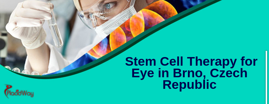 best stem cell treatment in the world