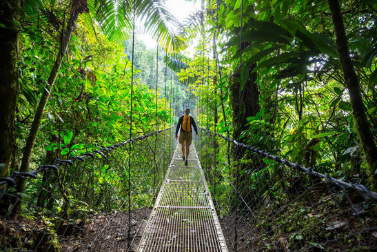 Hiking in Green Tropical Jungle in Costa Rica