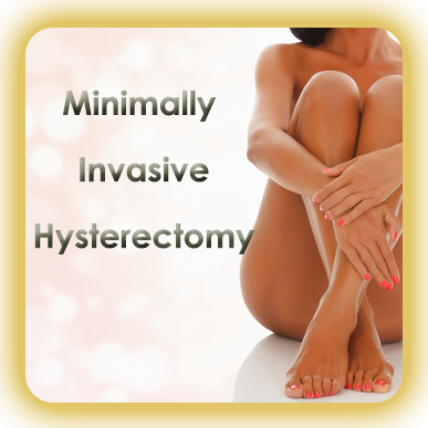 Minimally Invasive Hysterectomy Mexico Hispano Americano Group